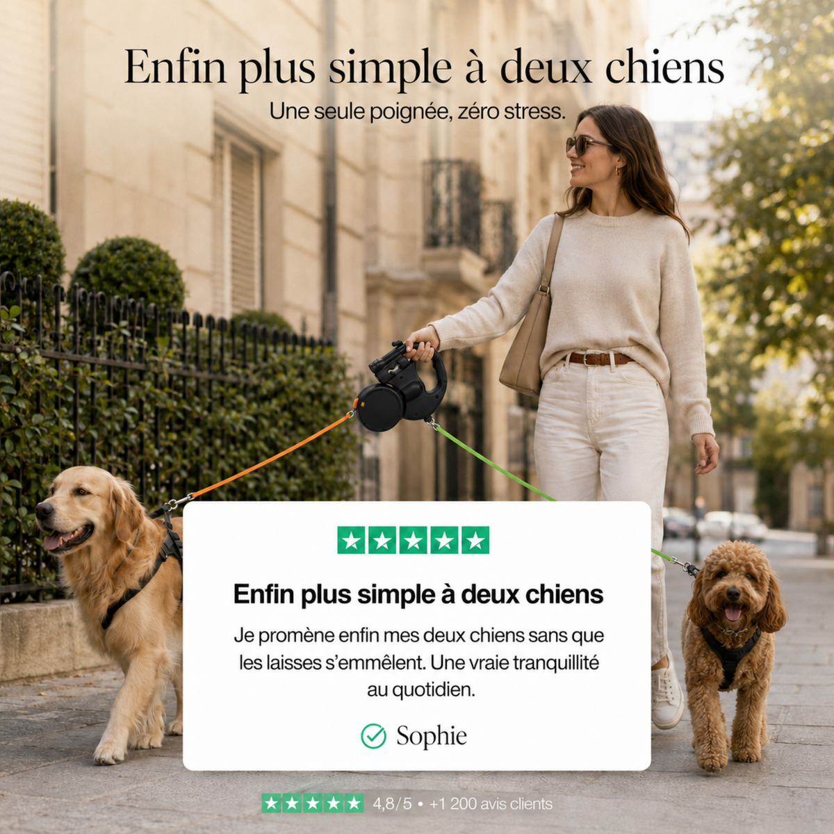 Laisse double pratique pour promener deux petits chiens ensemble